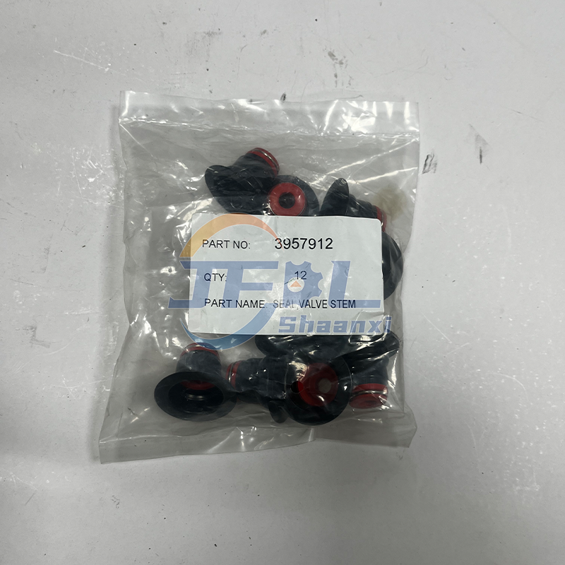 Piezas de motor de alta calidad 3925400 C3966454 Conjunto de culata con sellos de aceite de v&aacute;lvula para Dongfeng 6W modelo B19033