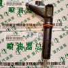 Ensemble d'injecteur de carburant VG1246080036 d'origine de pi&egrave;ces de rechange de moteur du camion r&eacute;sistant D12 de Sinotruk Howo A7