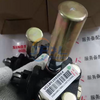 Howo Truck Gruppo Pompa di Alimentazione Carburante VG1092080064 per Sinotruk Serie WD615/WD618 (Spedizione Globale)