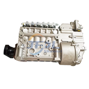 Conjunto de bomba de aceite de alta presi&oacute;n VG1095080100 del surtidor de combustible del motor del cami&oacute;n de Sinotruk Howo del precio a granel